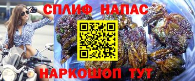 ешки Краснознаменск