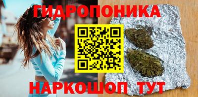 ешки Краснознаменск